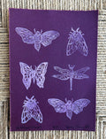 light purple bee moth butterfly and dragonfly on dark  purple heavyweight paper handmade linocut print signed by artist on a textured brown background