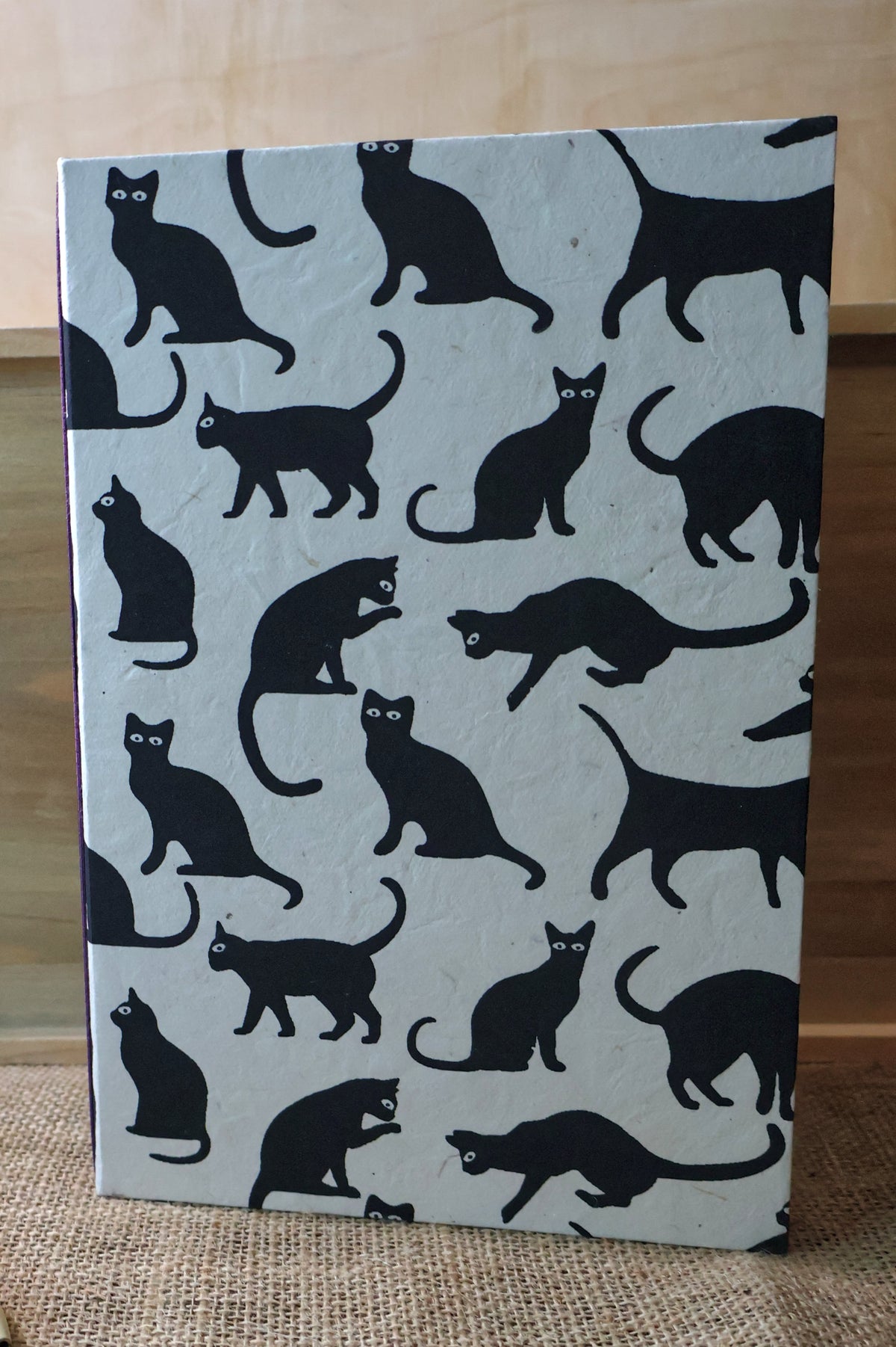 Black & White Cat Refillable Journal