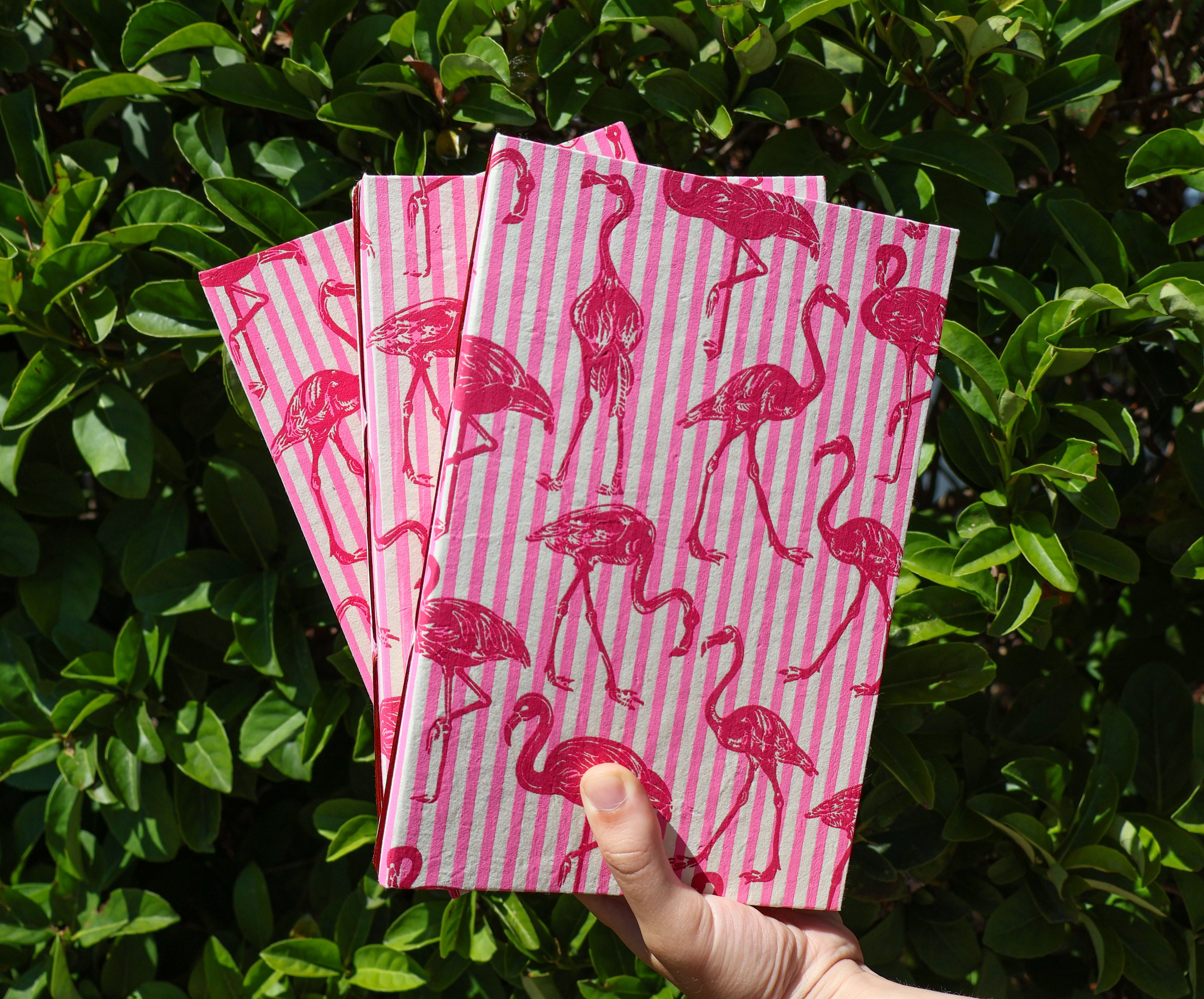 Flamingo Reading Log