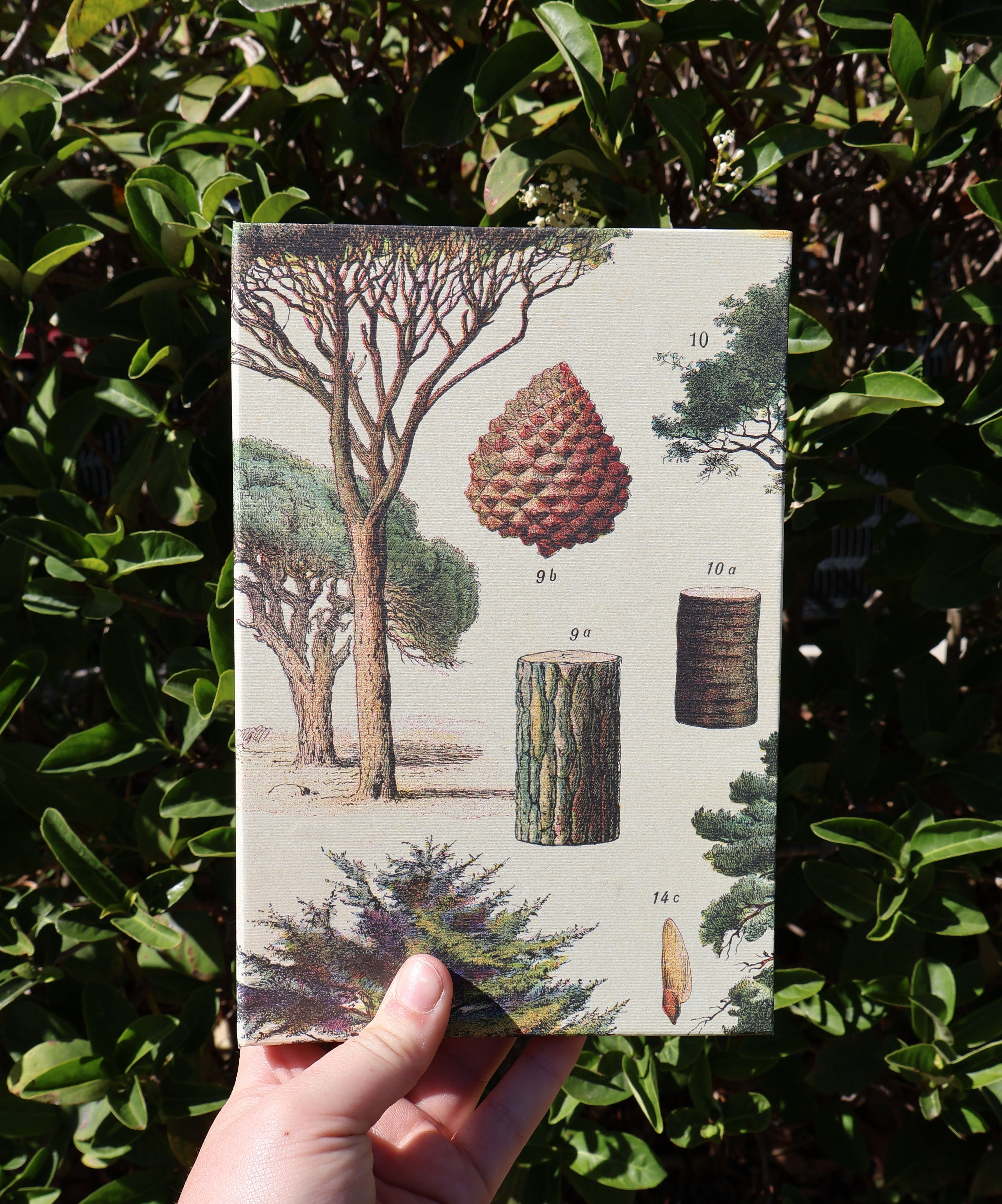 Forest Daily Planner
