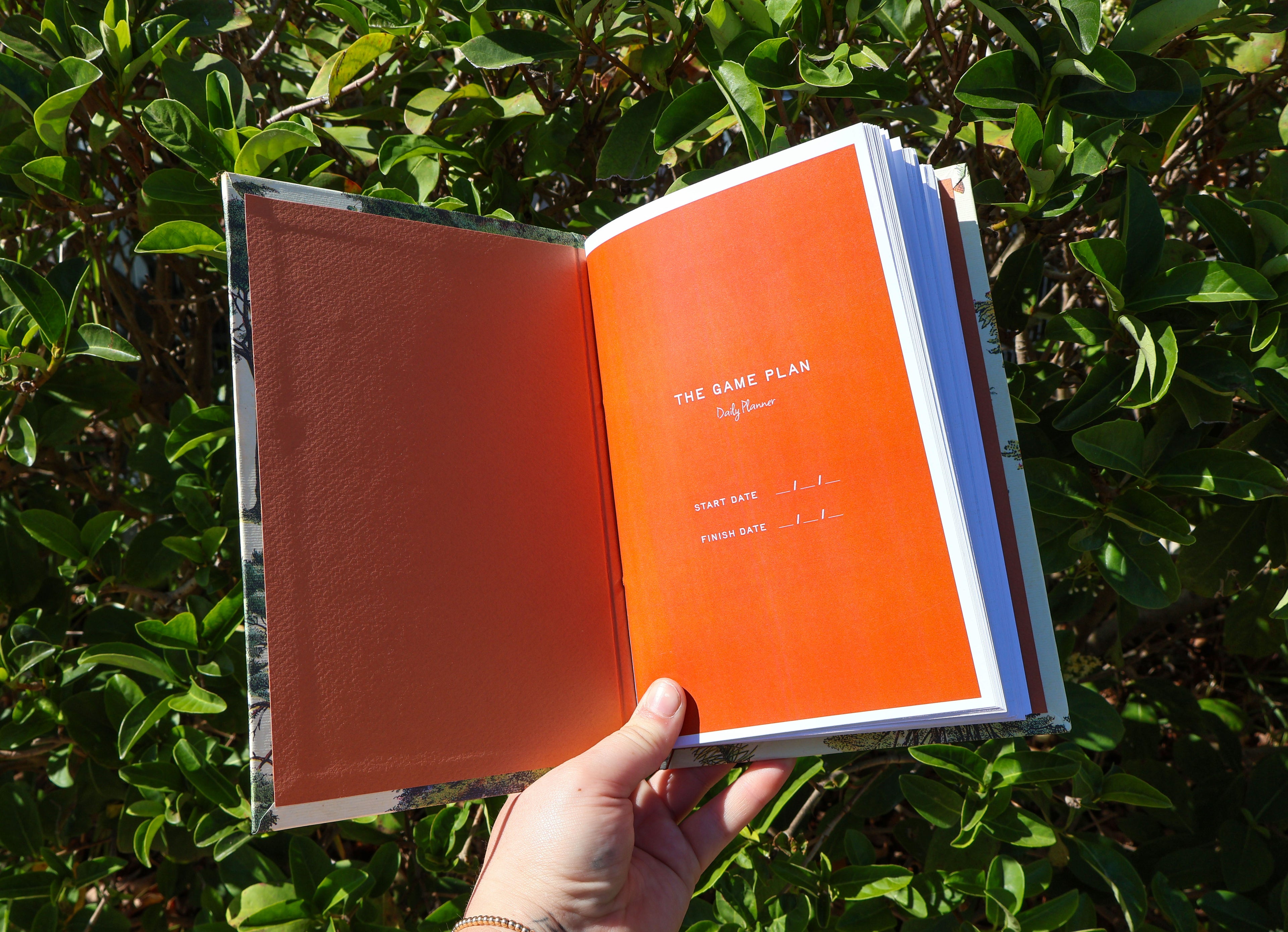 Forest Daily Planner