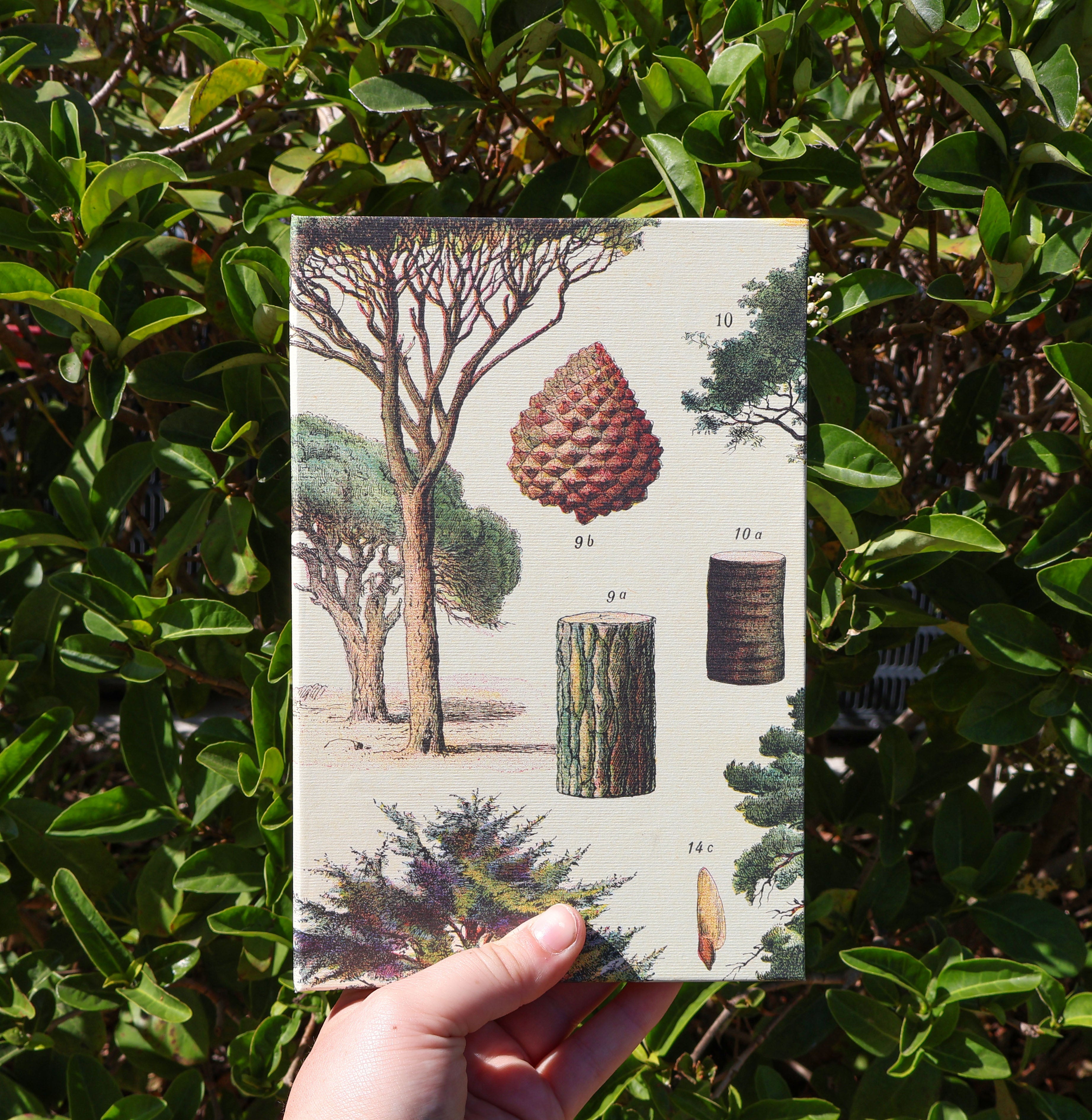 Forest Daily Planner