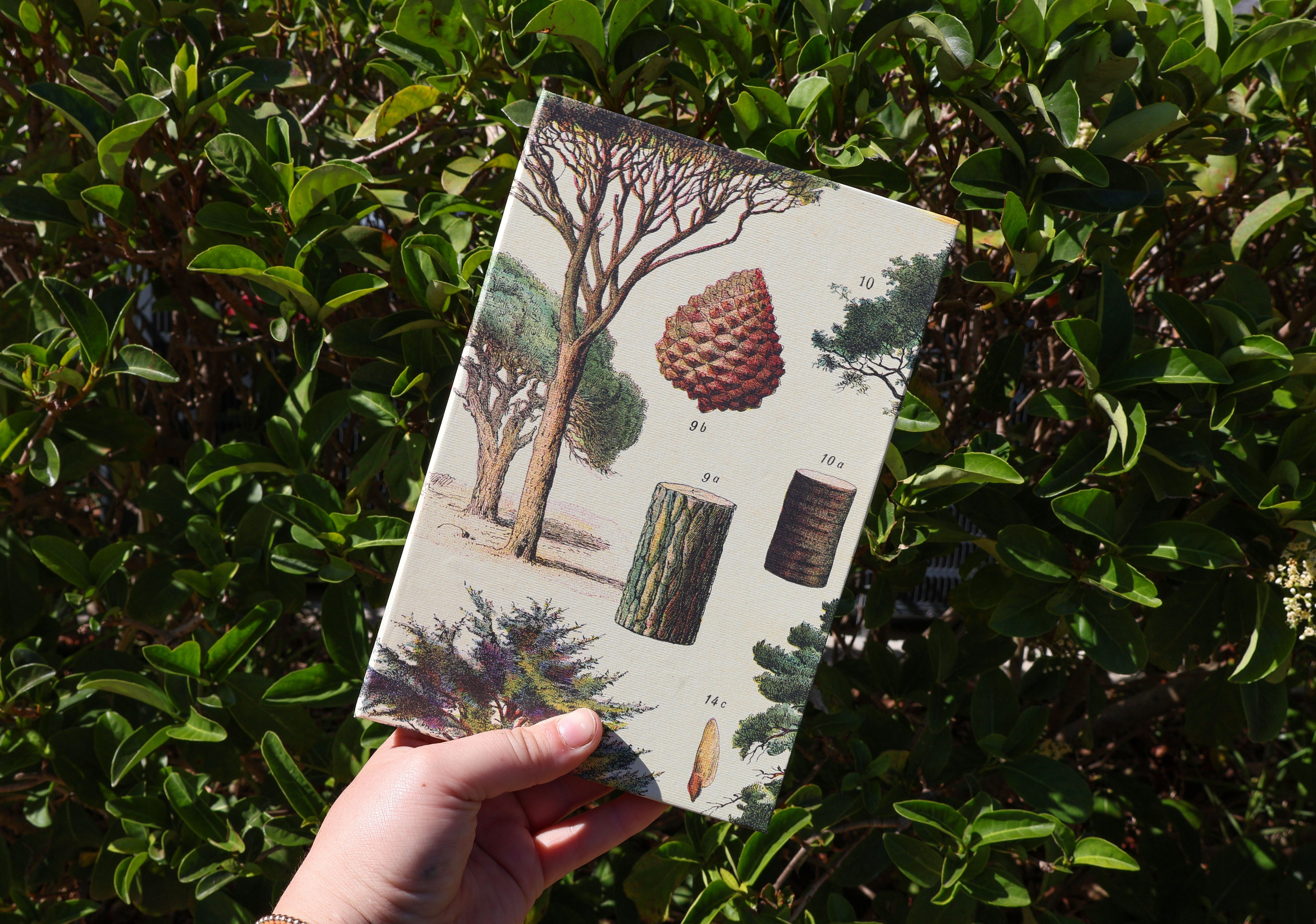 Forest Daily Planner