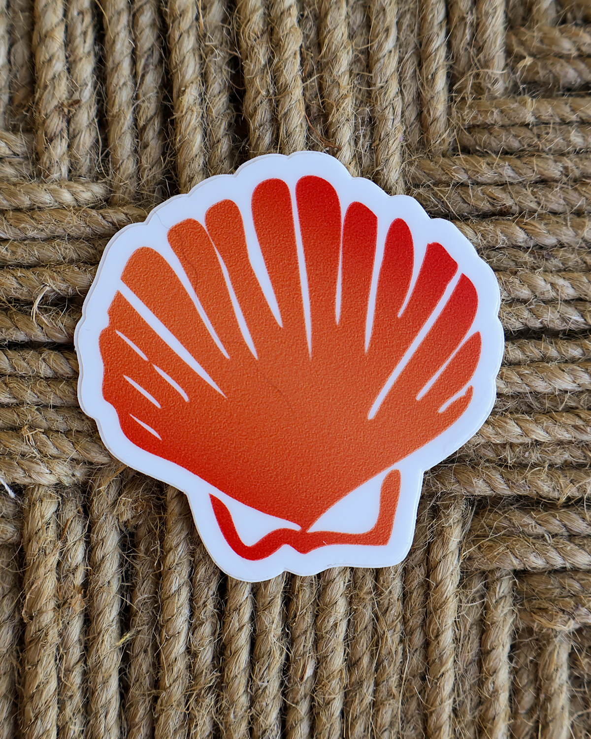 Shell Sticker