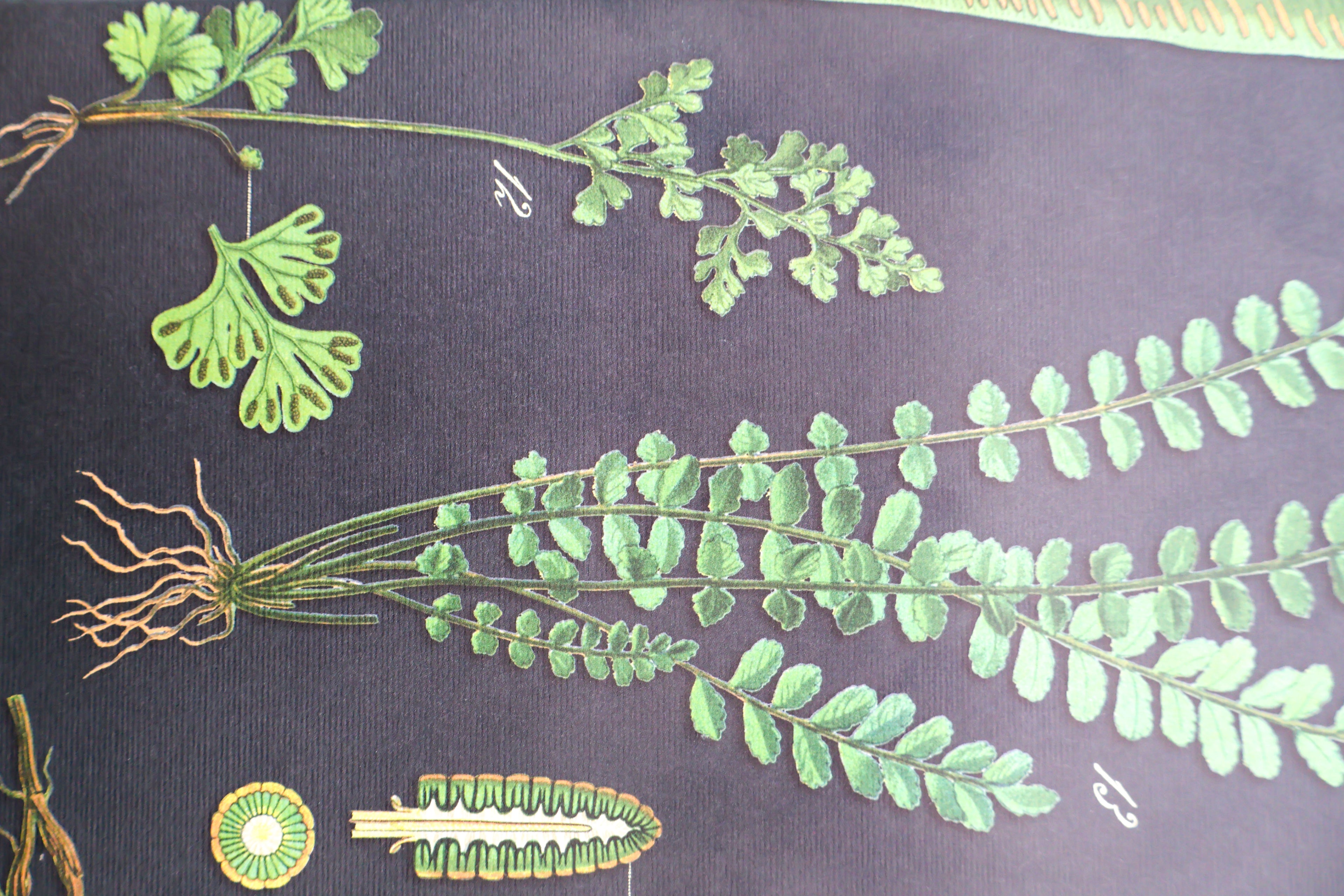 Fern Refillable Grid Journal