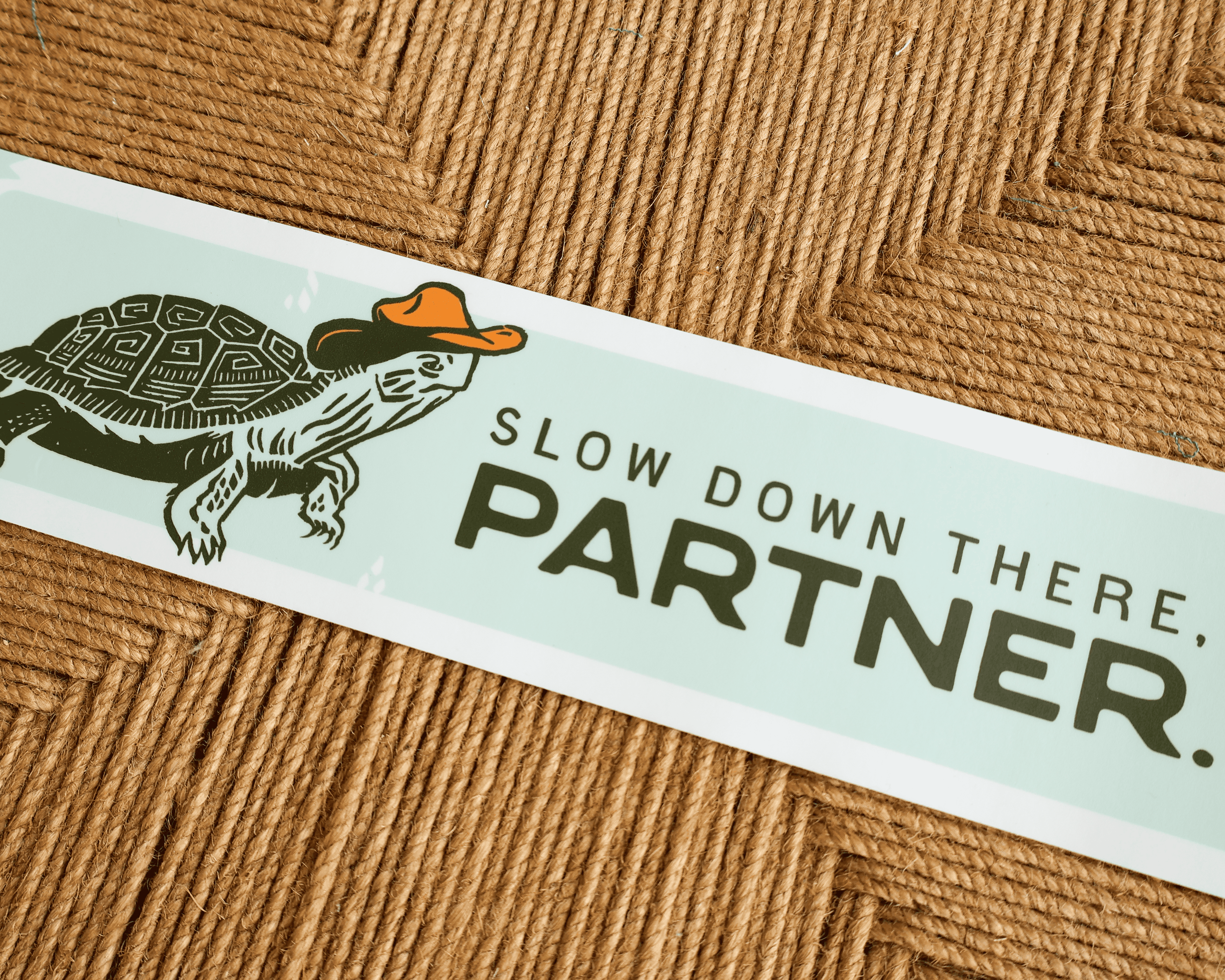 Turtle Bumper Sticker