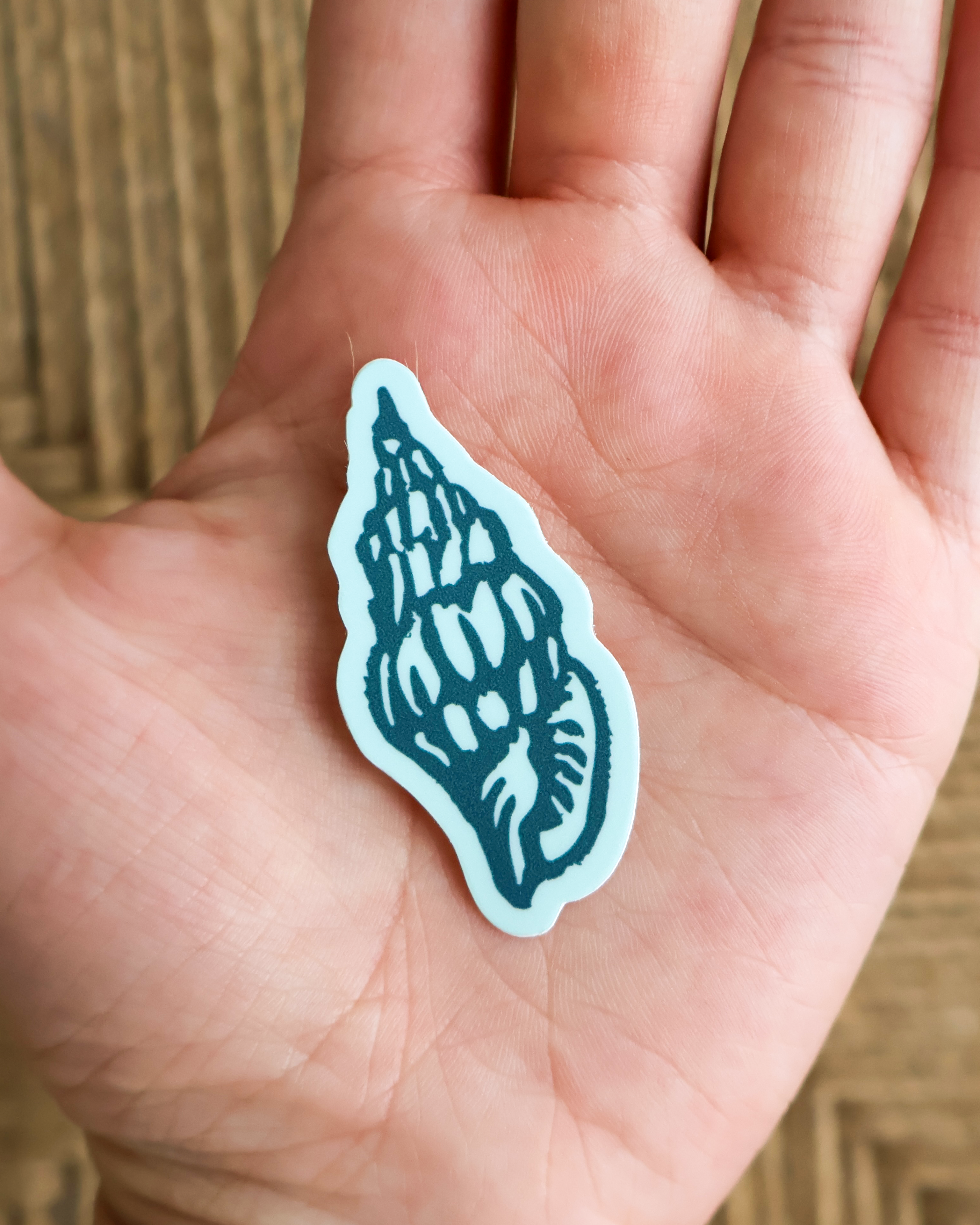 Conch Shell Sticker