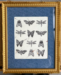 Framed Mothball Linocut Print