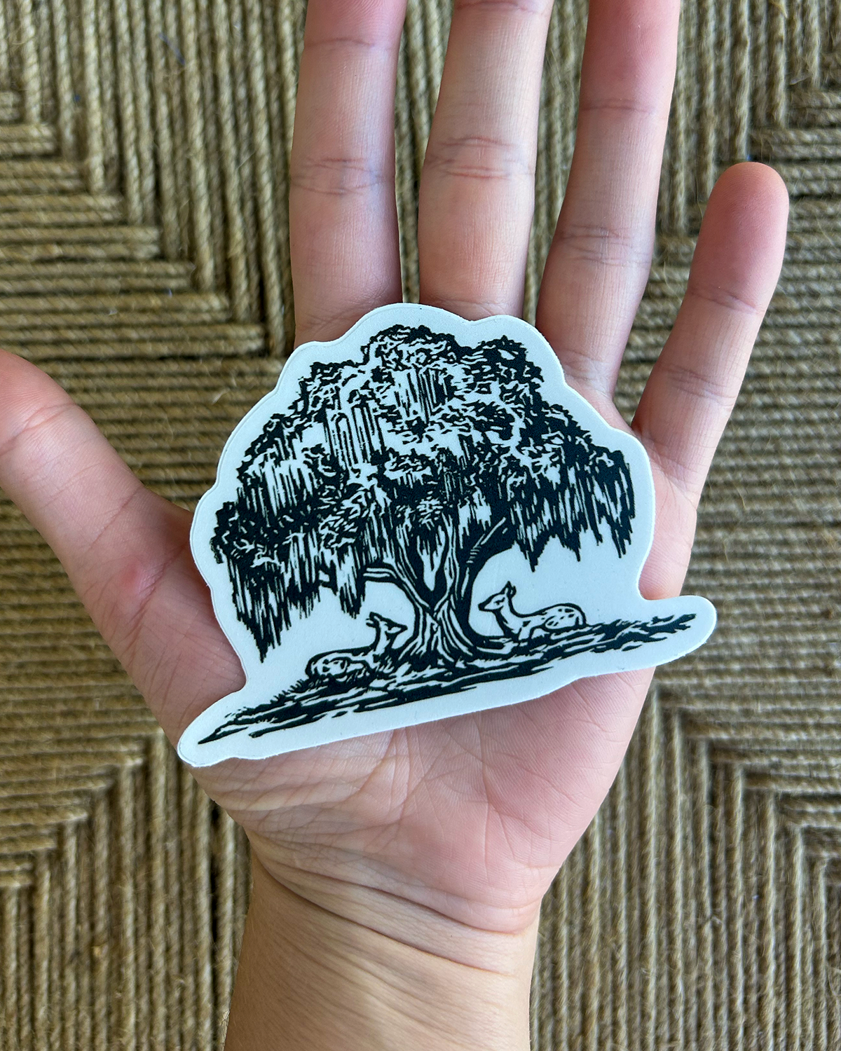 Willow & Deer Sticker
