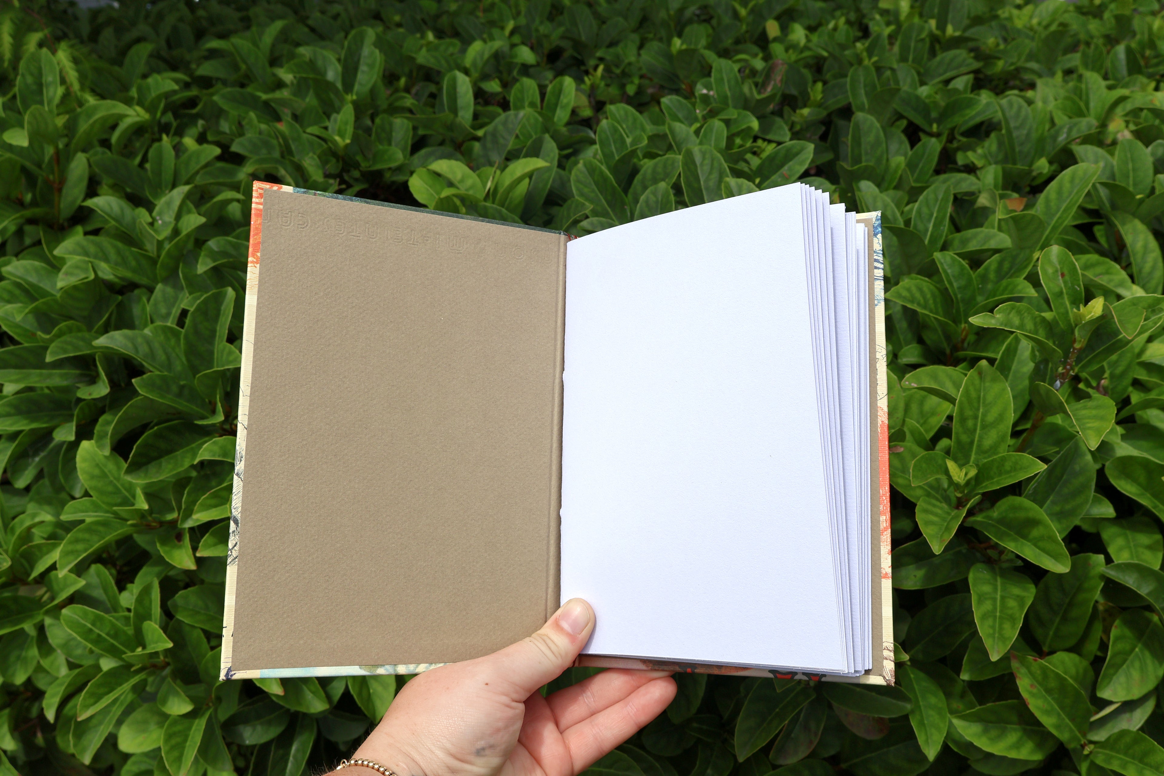 National Parks Sketchbook (postcard print)