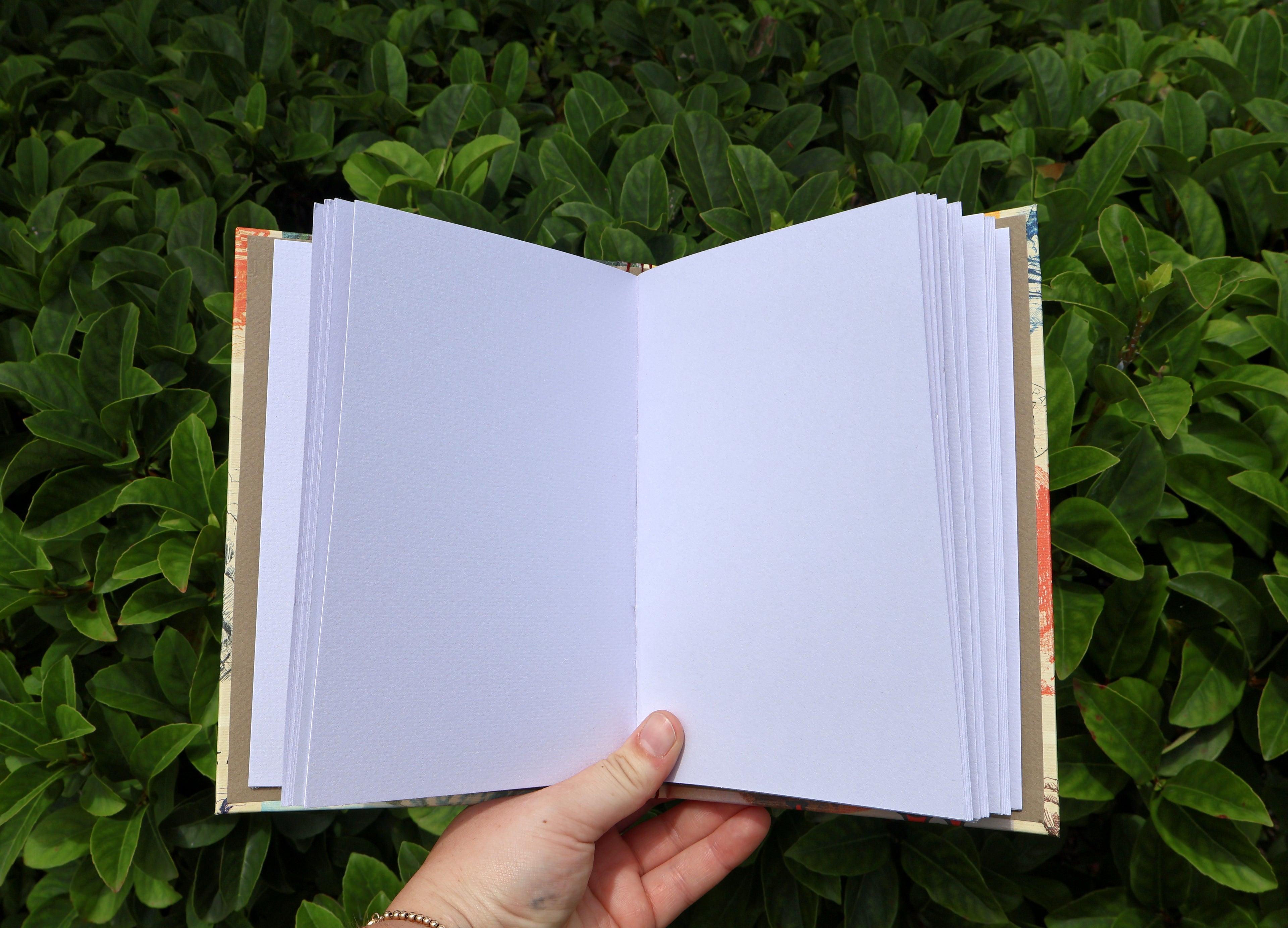 National Parks Sketchbook (postcard print)