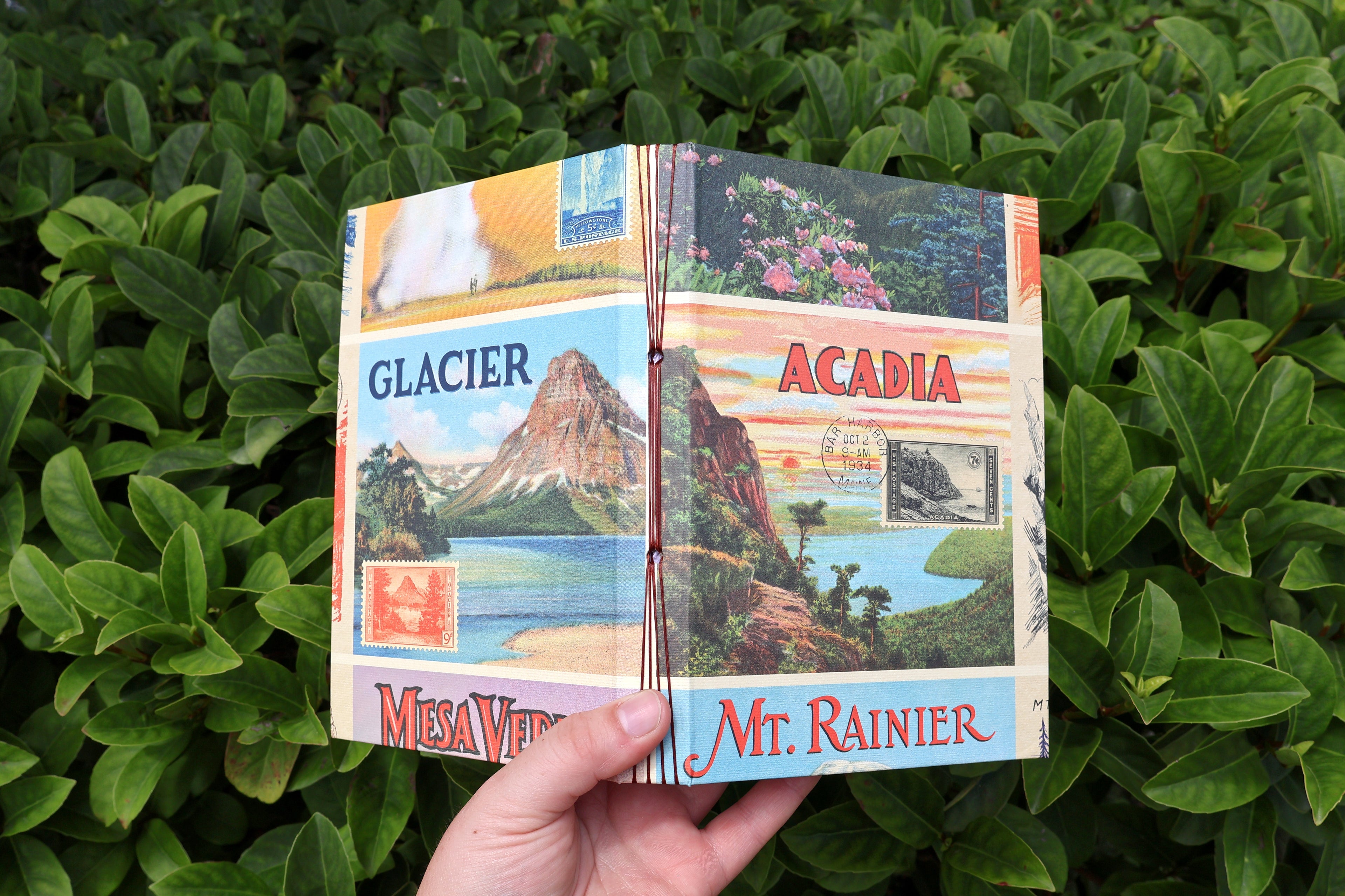 National Parks Sketchbook (postcard print)