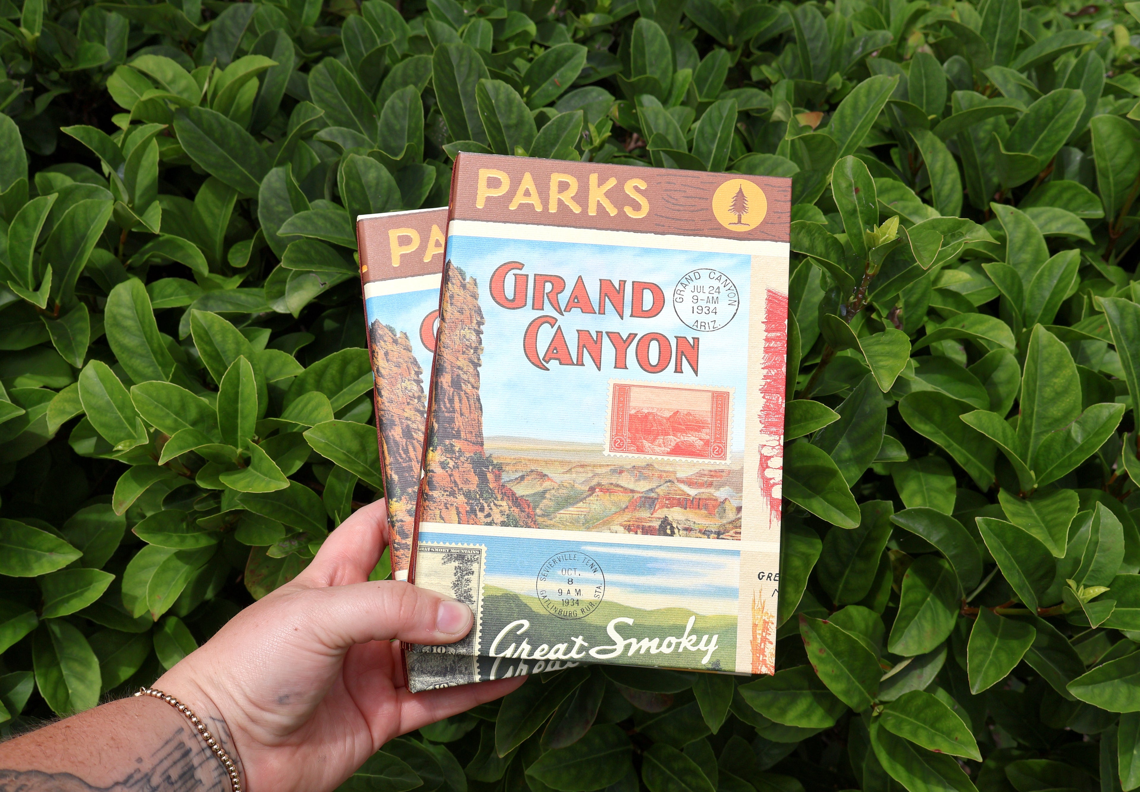 National Parks Sketchbook (Grand Canyon)
