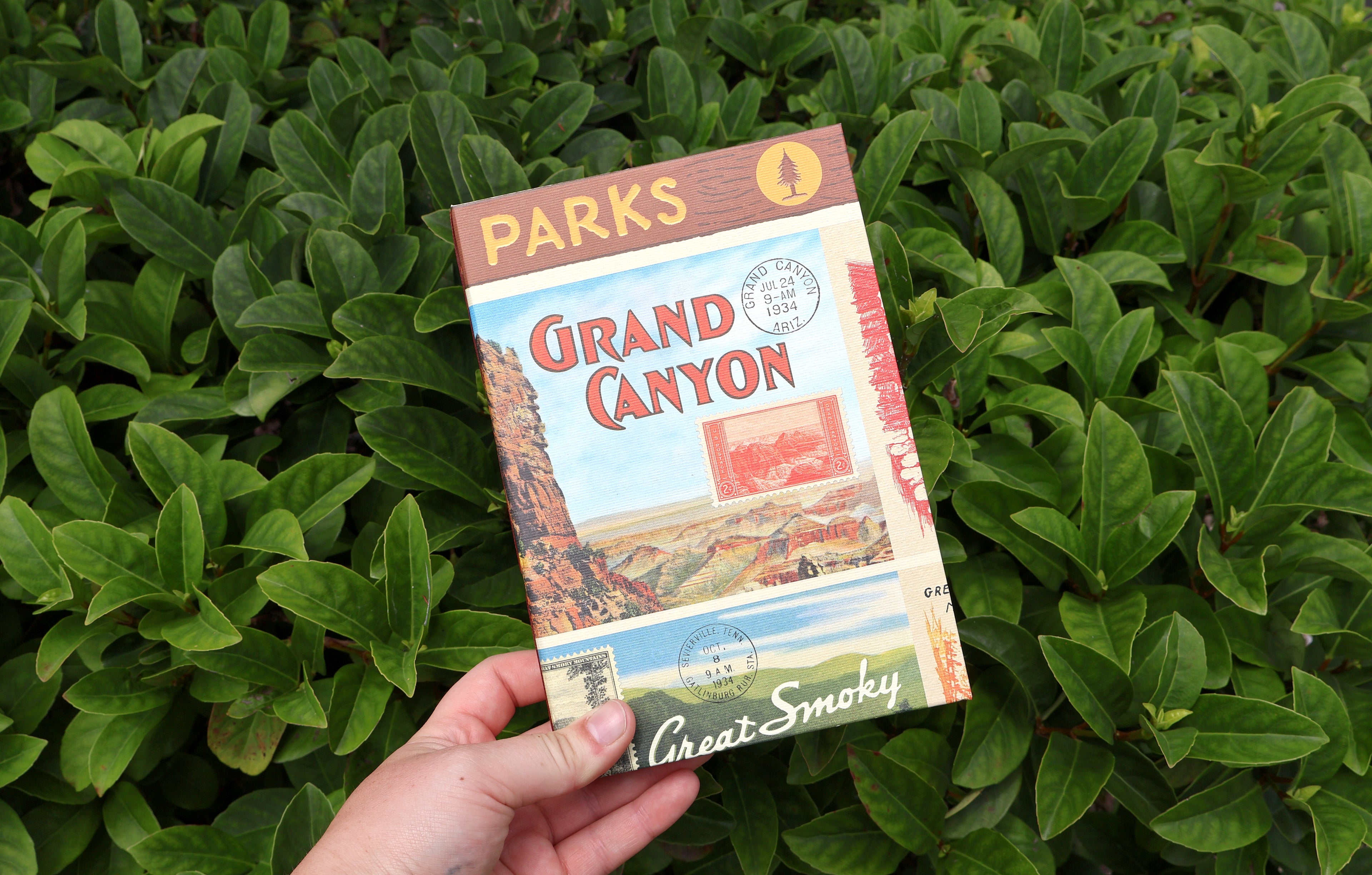 National Parks Sketchbook (Grand Canyon)