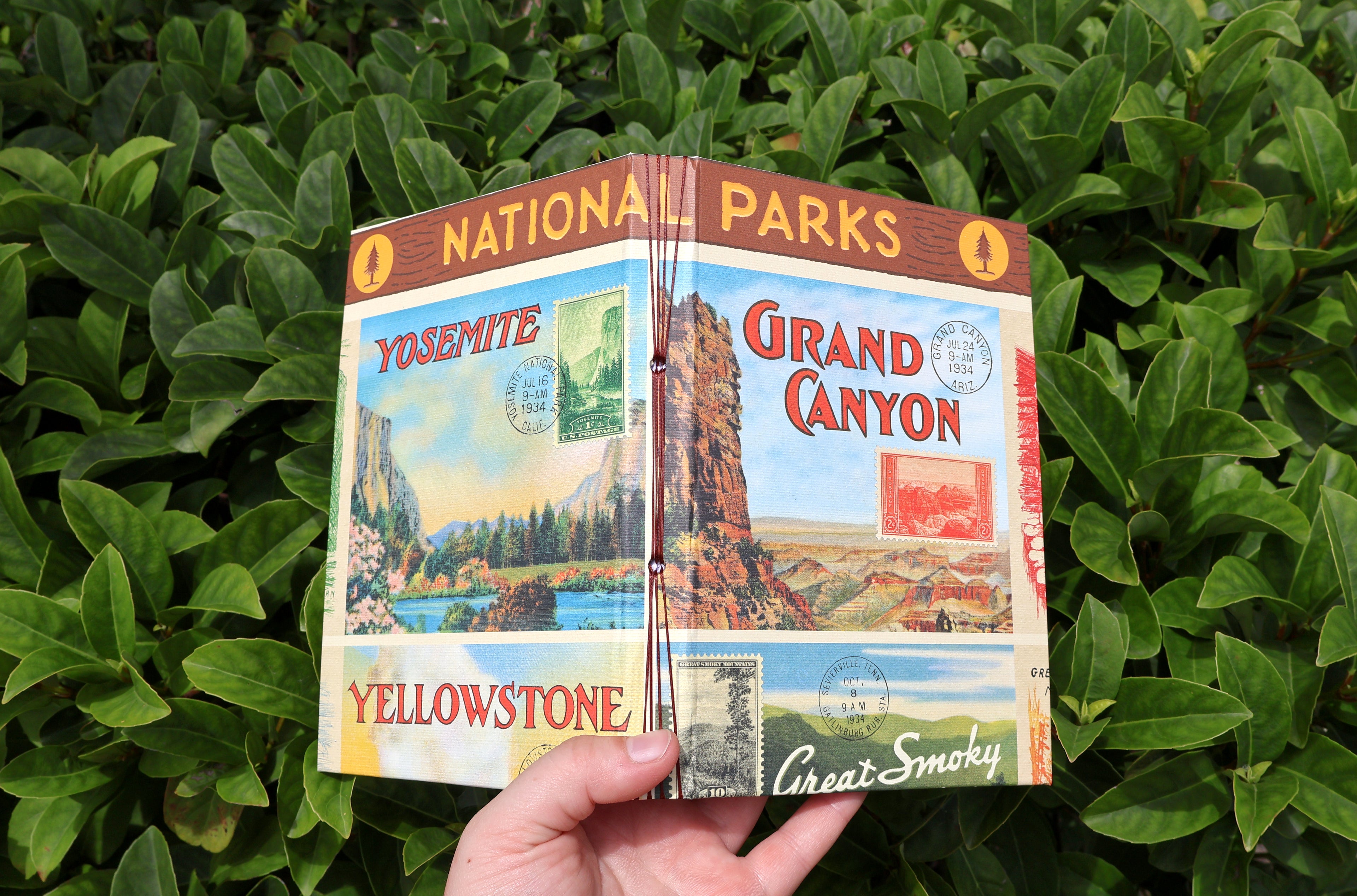 National Parks Sketchbook (Grand Canyon)