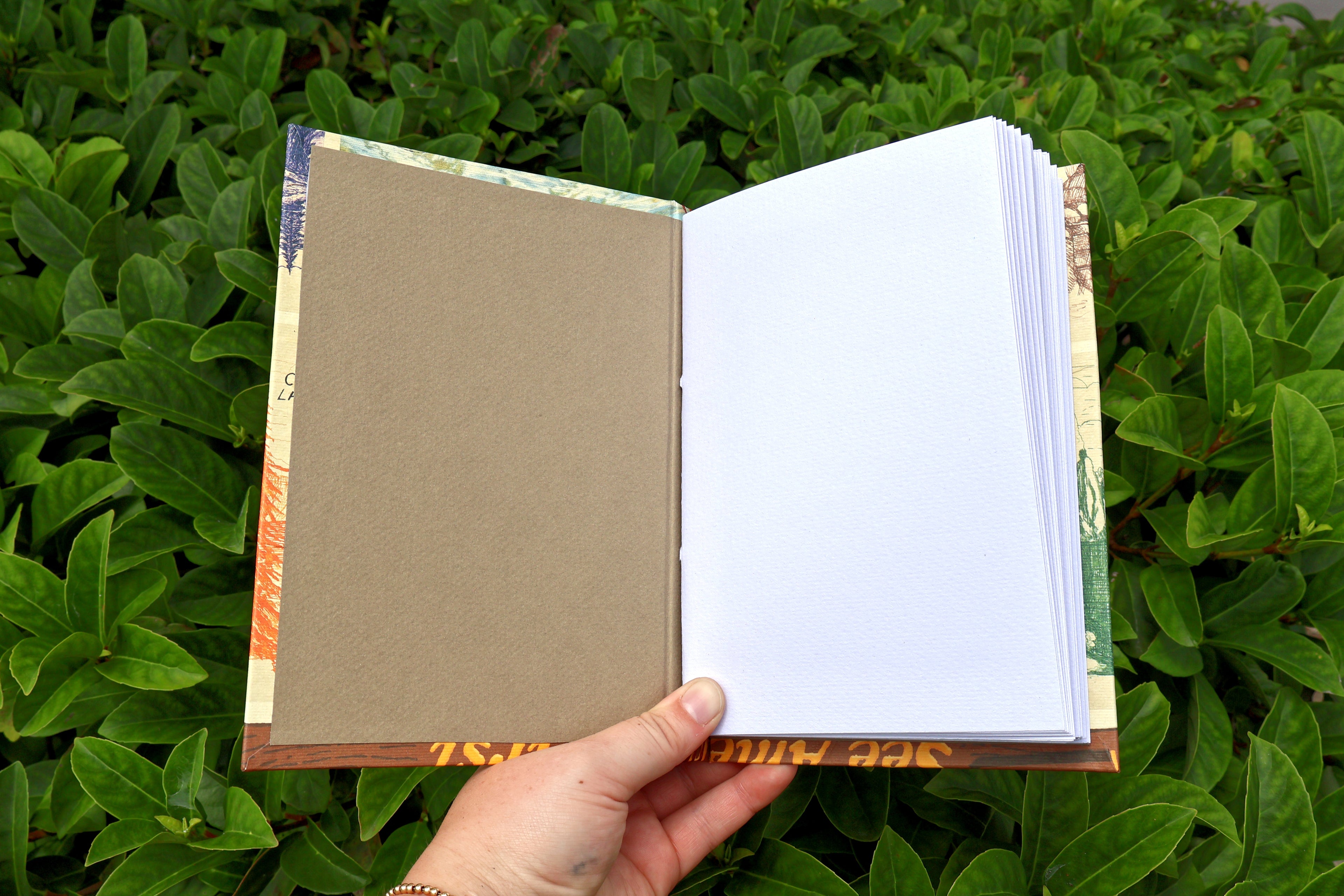 National Parks Sketchbook (Visit America)