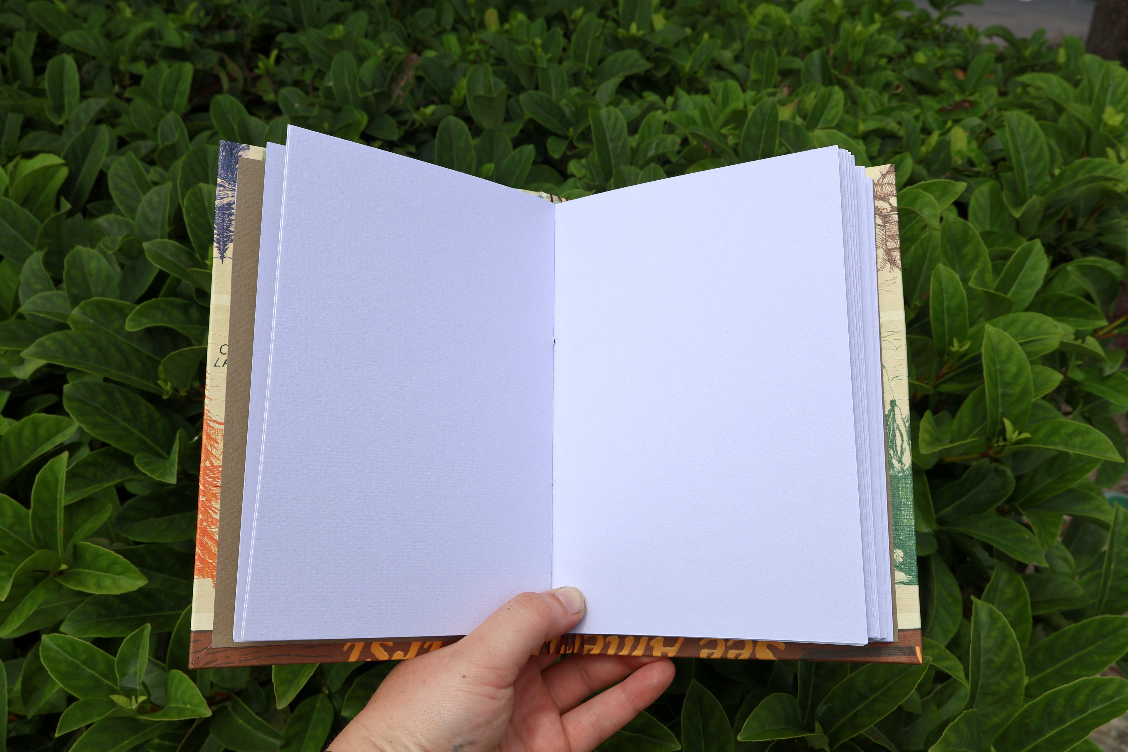 National Parks Sketchbook (Visit America)