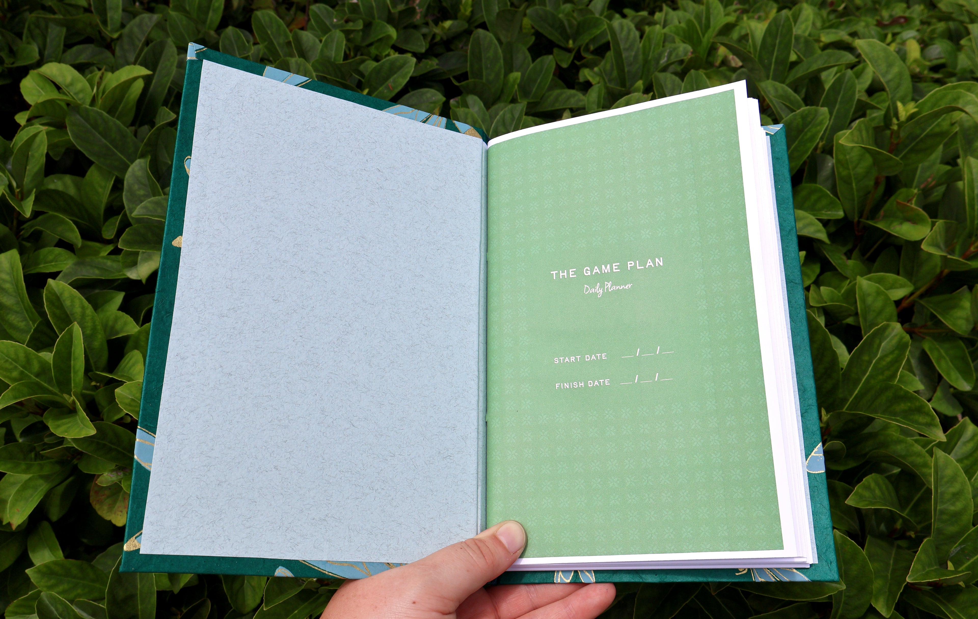 Dragonfly Daily Planner