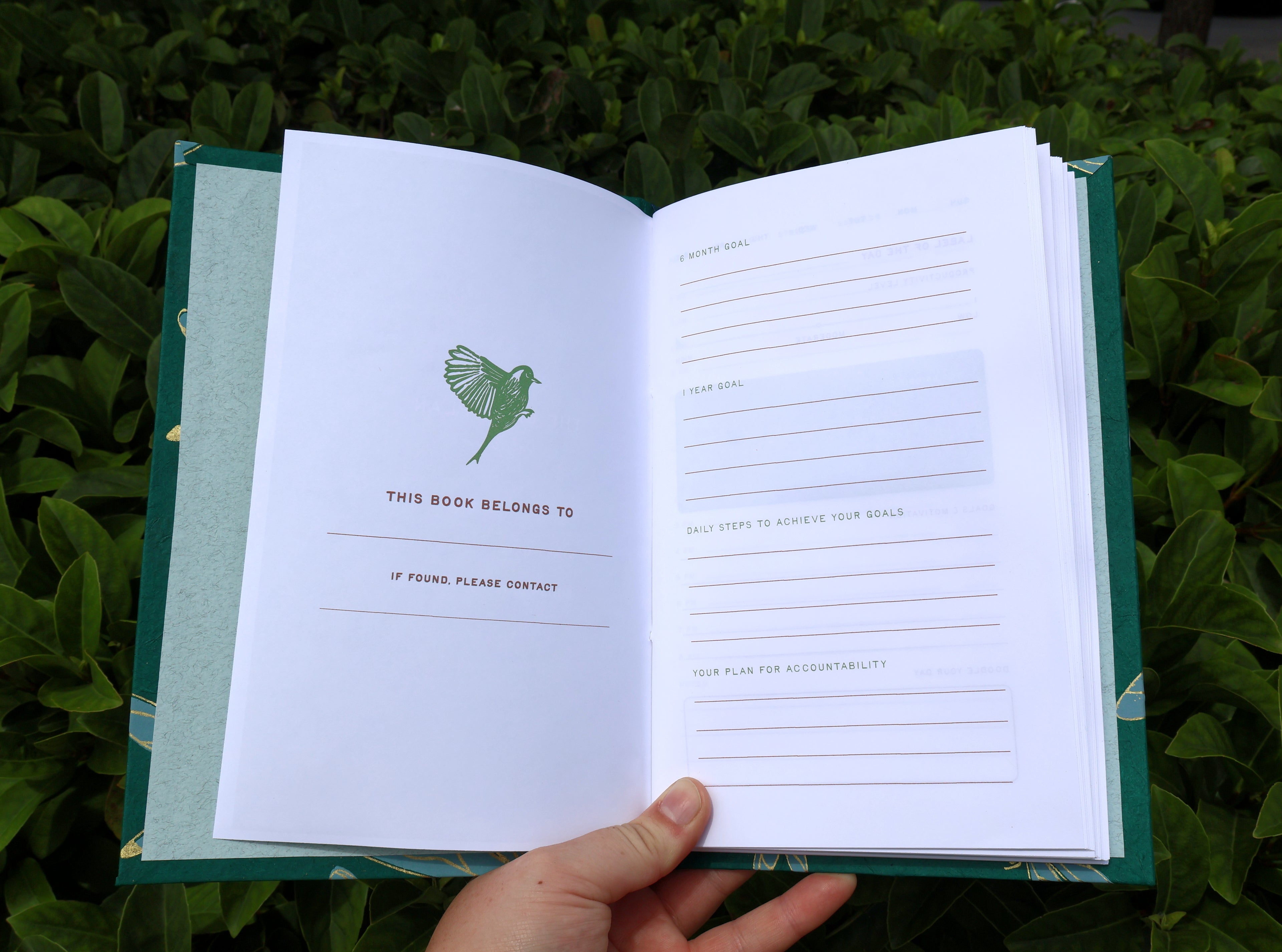 Dragonfly Daily Planner