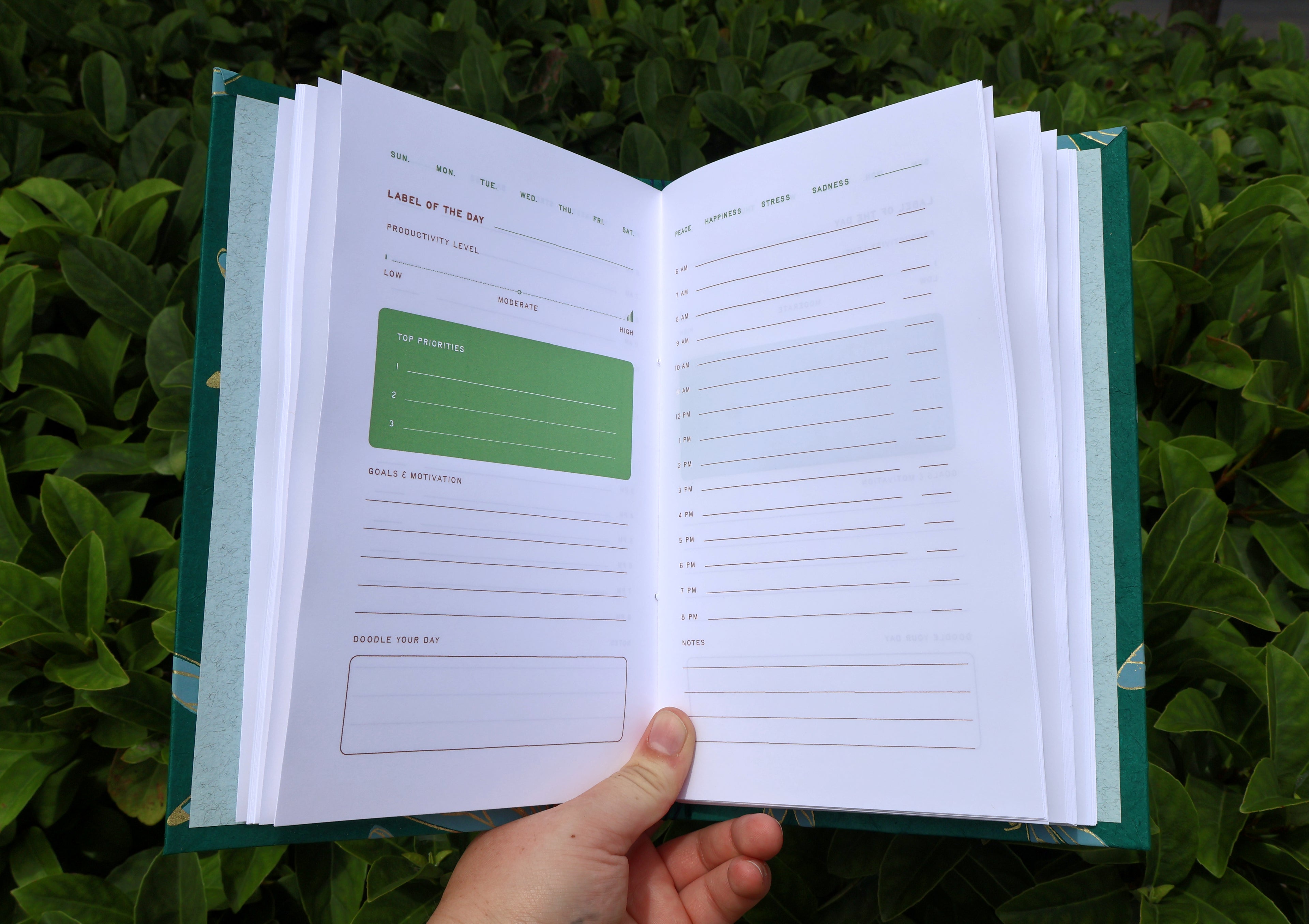 Dragonfly Daily Planner