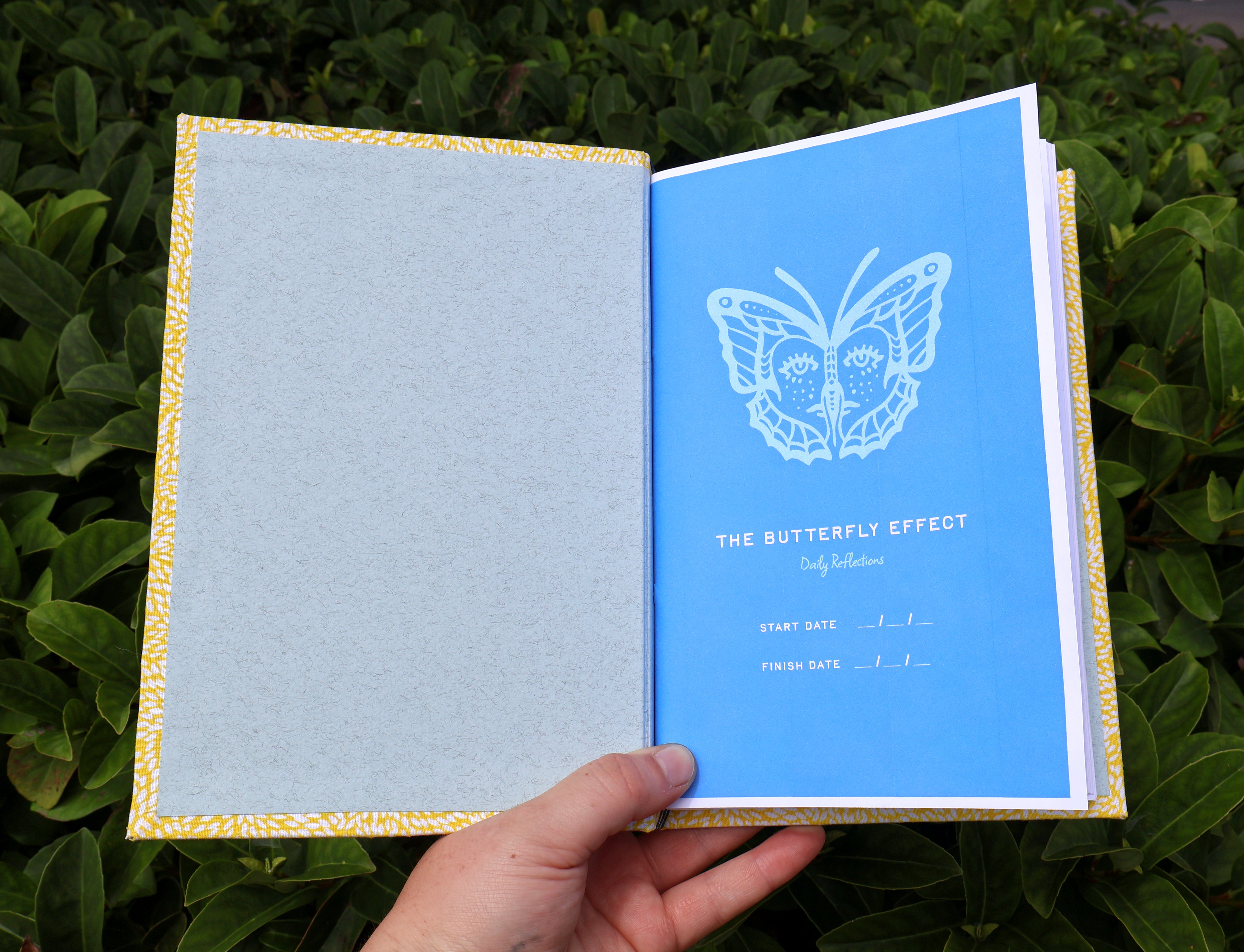 Yellow Butterfly Effect Reflections Log