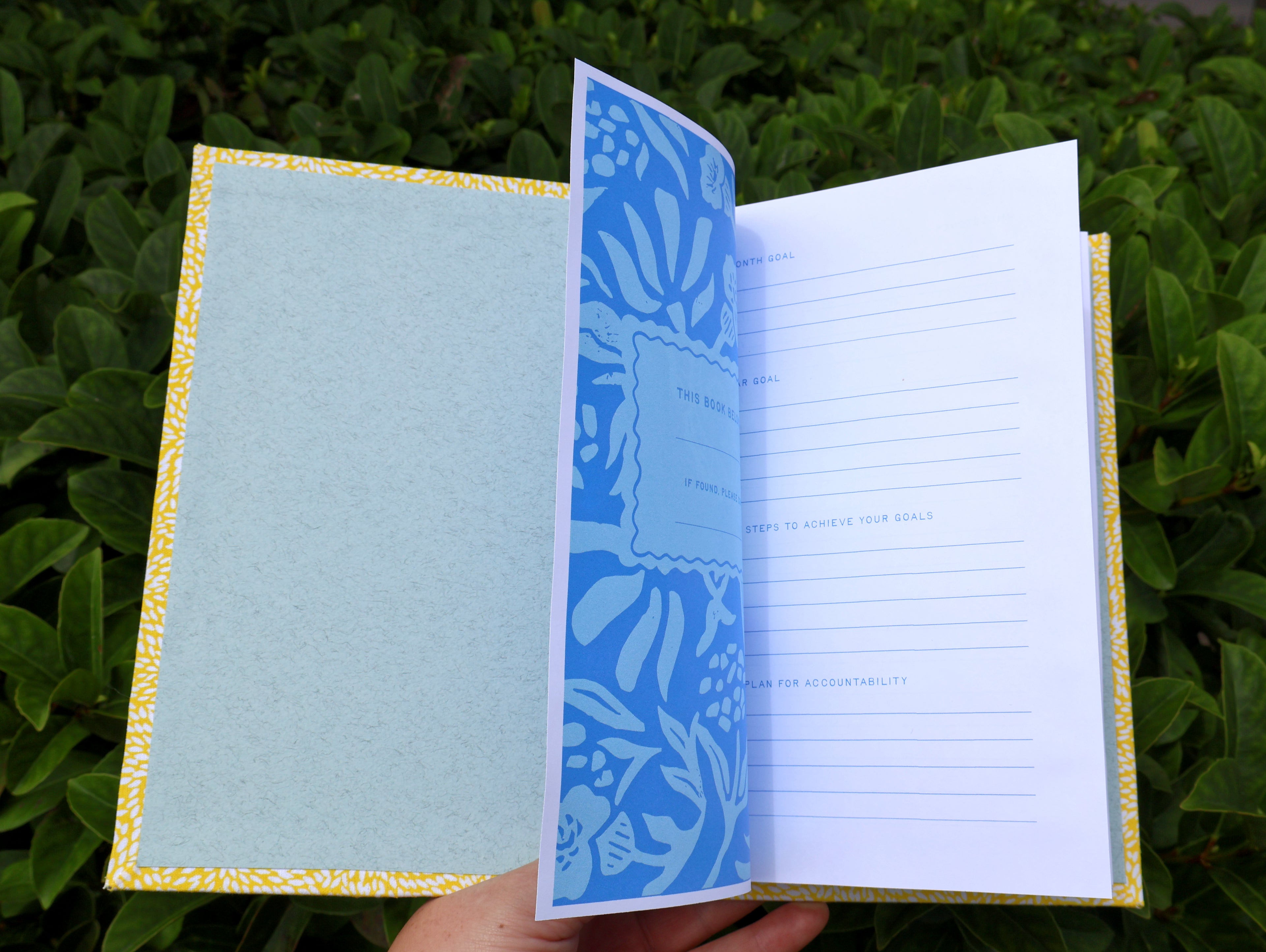 Yellow Butterfly Effect Reflections Log