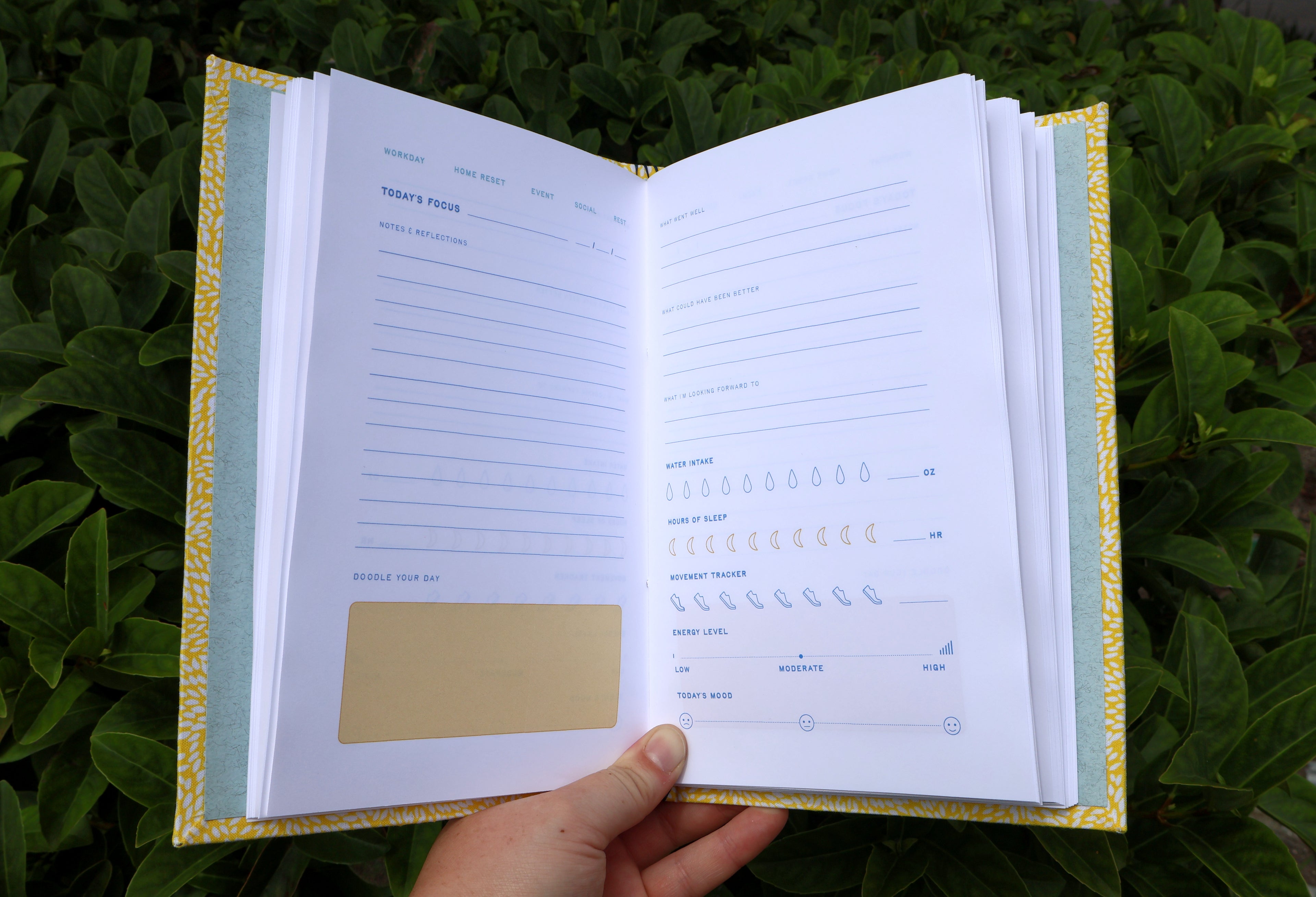 Yellow Butterfly Effect Reflections Log