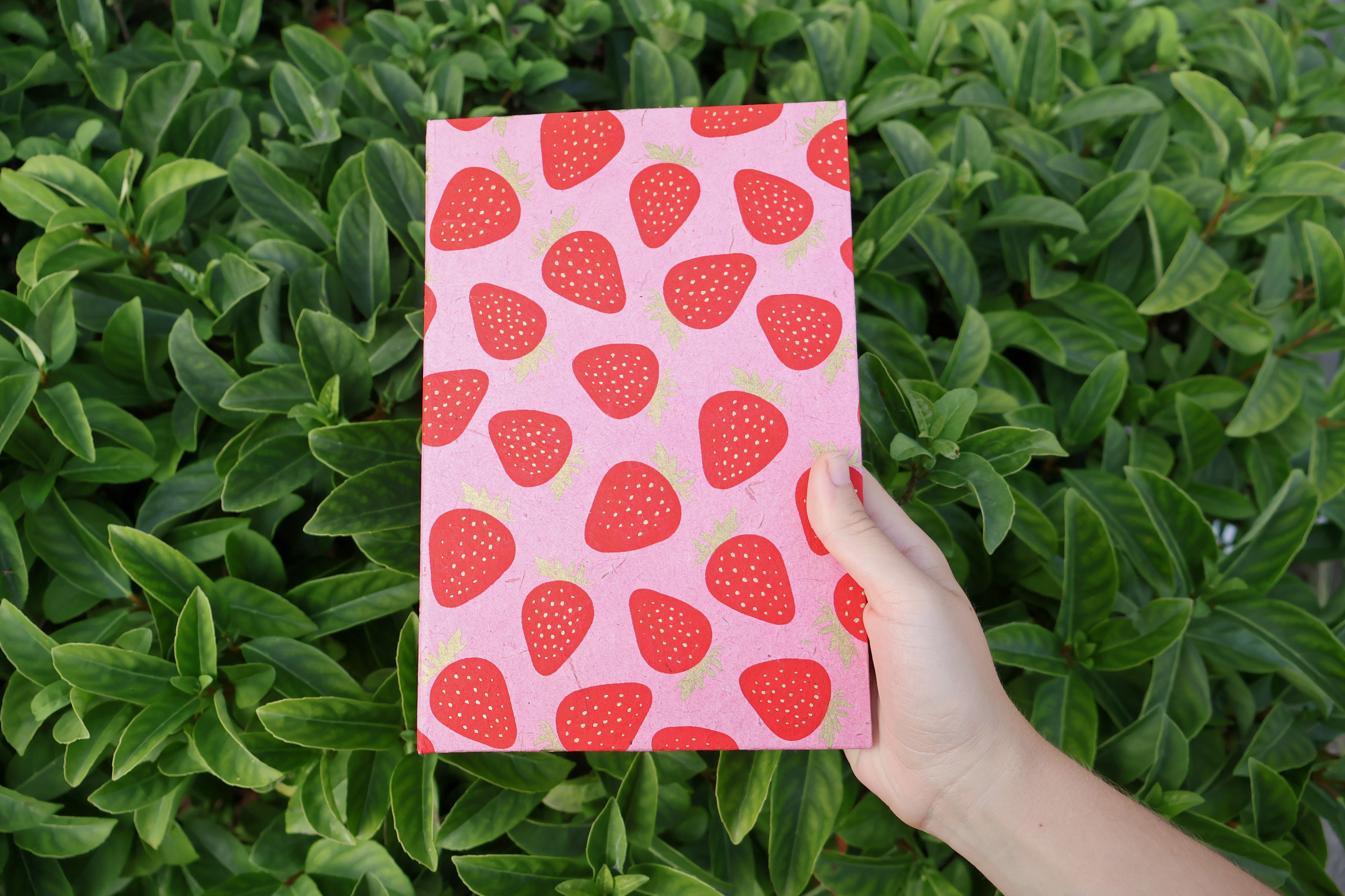 Strawberry Recipe Log