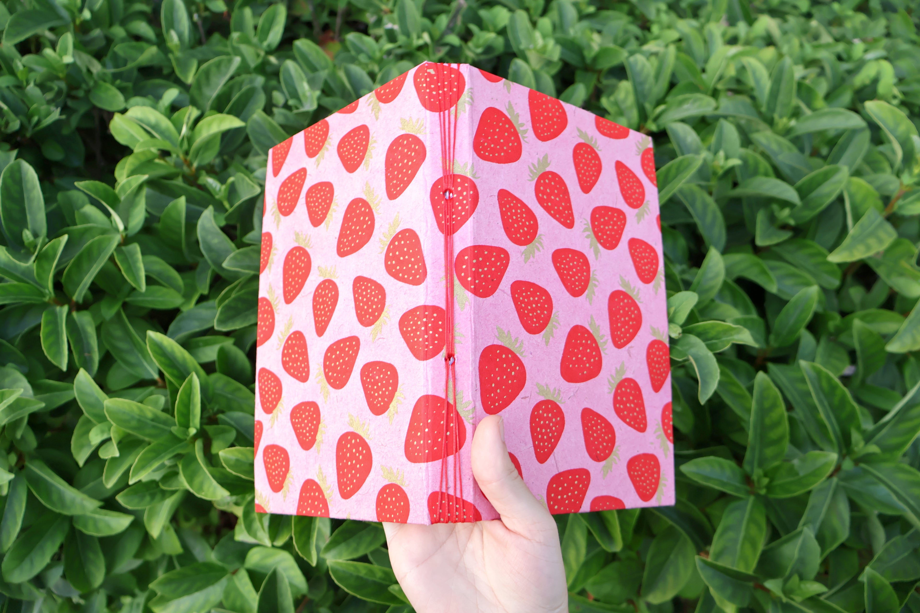 Strawberry Recipe Log
