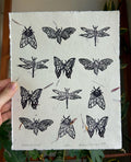black on white handmade paper with flower petals of a handmade linocut print featuring bees, butterflies, moths, and dragonflies signed by artist