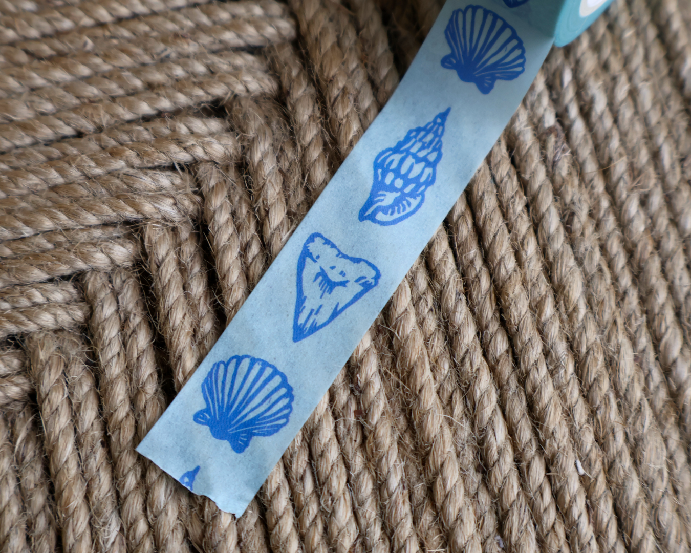 linocut design of florida blue seashells on decorative washi tape. unrolled showing the design on a textured brown background. by dovetail studio