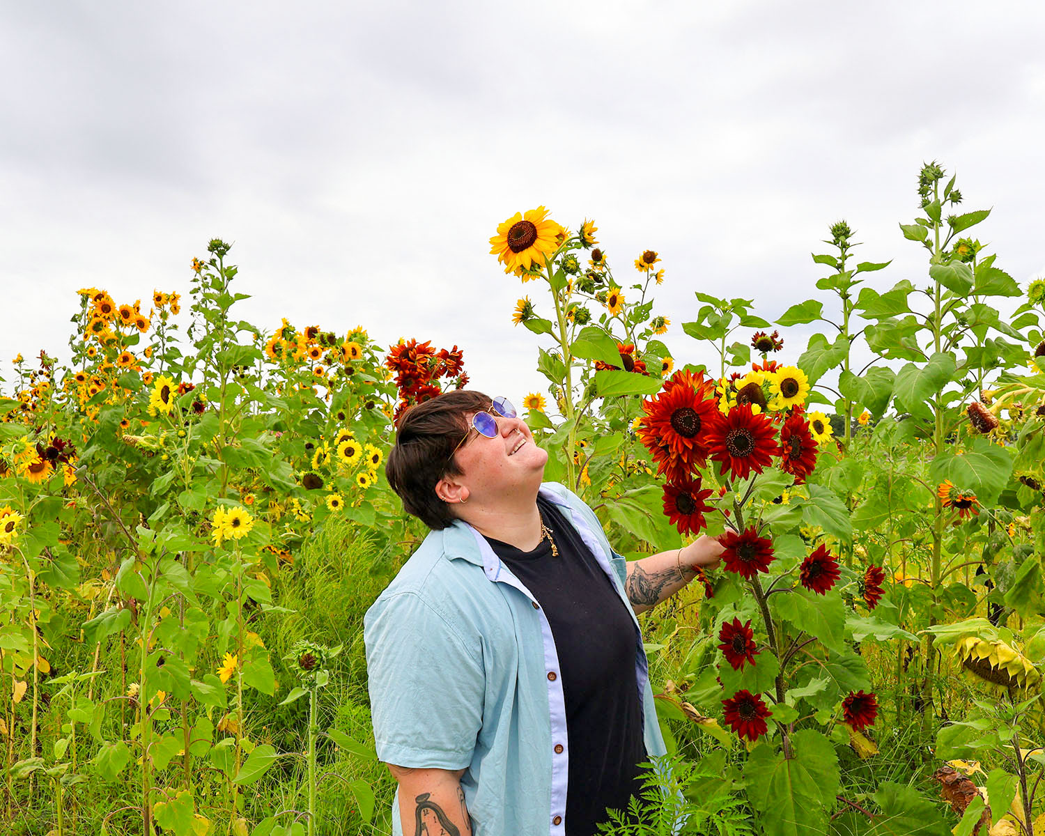 lilli jones the co owner of dovetail studio standing in a sunflower patch looking up towards the flower in a blue button up shirt and glasses