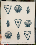 navy on cream of conch shell scallop shell and sharktooth handmade linocut print designs on blurred background signed by the artist