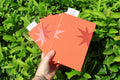 A hand holds two hand printed and bound sketchbooks in front of dense green foliage. The front sketchbook is orange with a white and red starbursts and the back journal is orange with a red starburst.