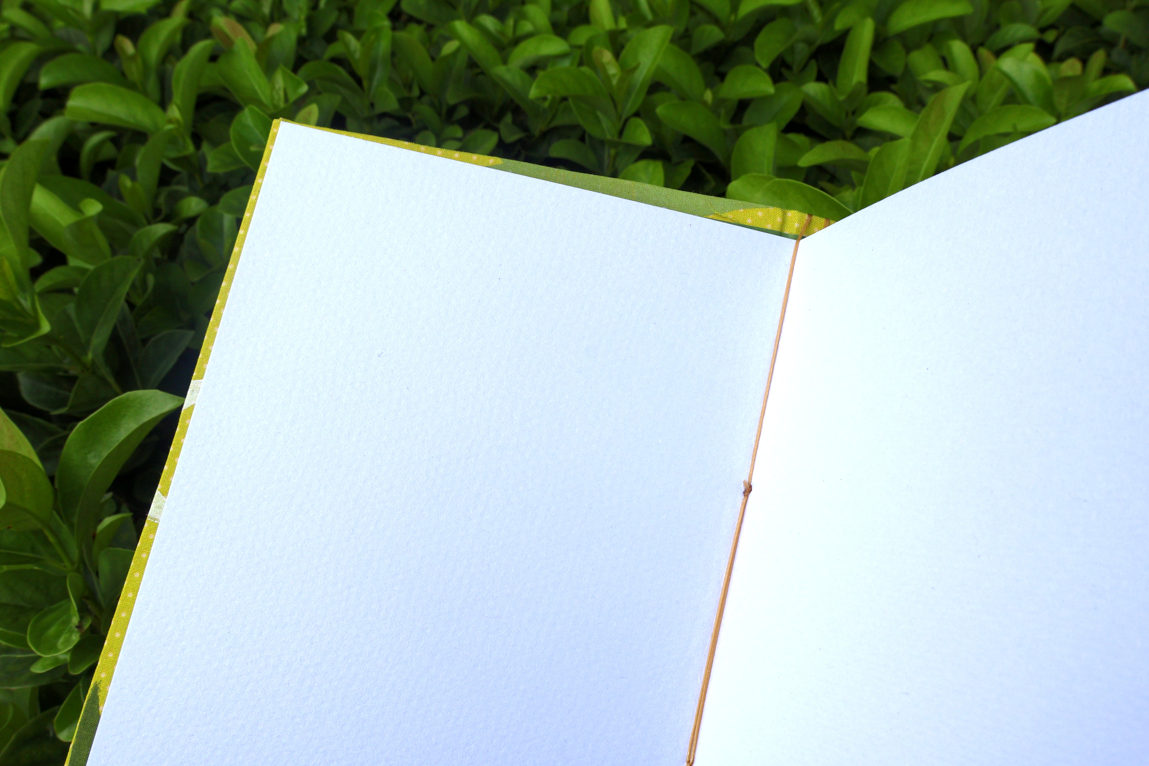 An open notebook with blank white pages, resting on a bed of green foliage. hand bound and linocut printed with more love studio